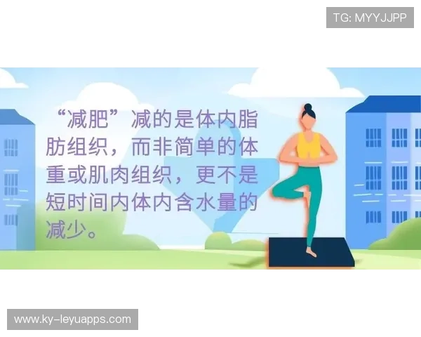 以“减肥运动排行榜”为核心构建内容集群 以“减肥运动排行榜”为核心构建内容集群